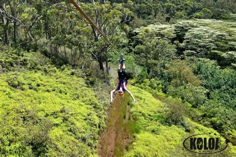 Kauai Zipline Tour with Koloa Zipline - Sunshine and Munchkins