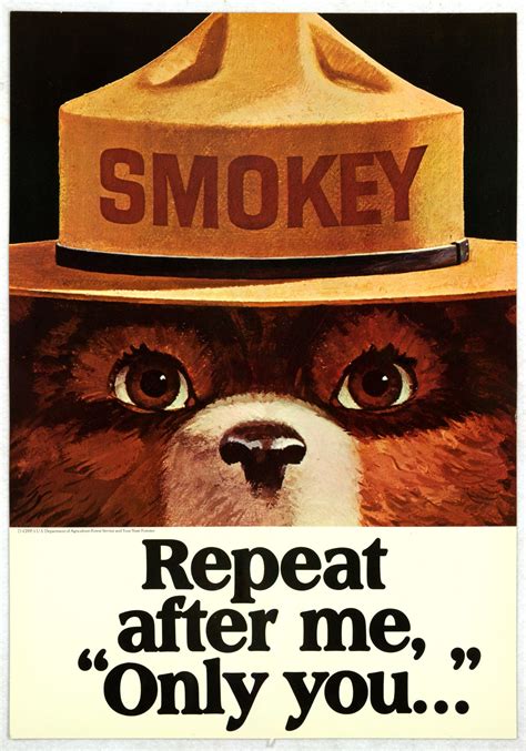 smokey the bear | Smokey the bears, Smokey, Bear