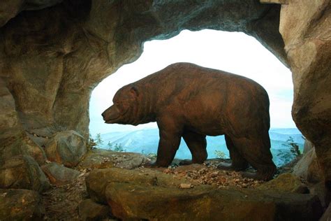 Interesting Facts About the Cave Bear