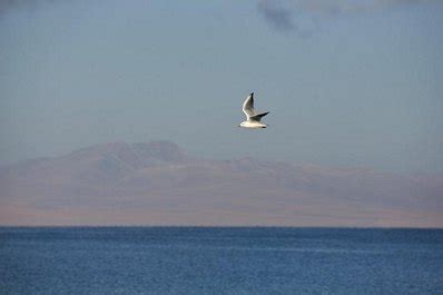 Son-Kul Lake, Kyrgyzstan