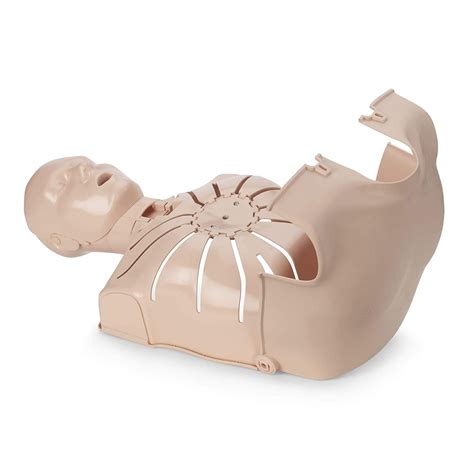 TEACH YOURSELF CPR WITH THIS DUMMY – The Howler Monkey