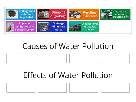 Causes and effects of Water Pollution - Group sort