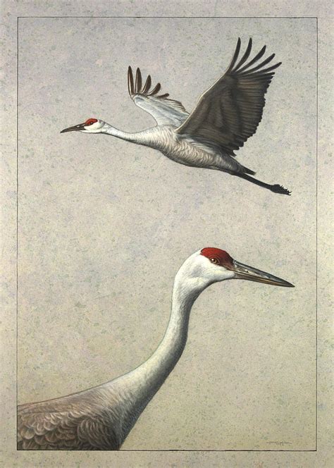 Sandhill Cranes Painting by James W Johnson