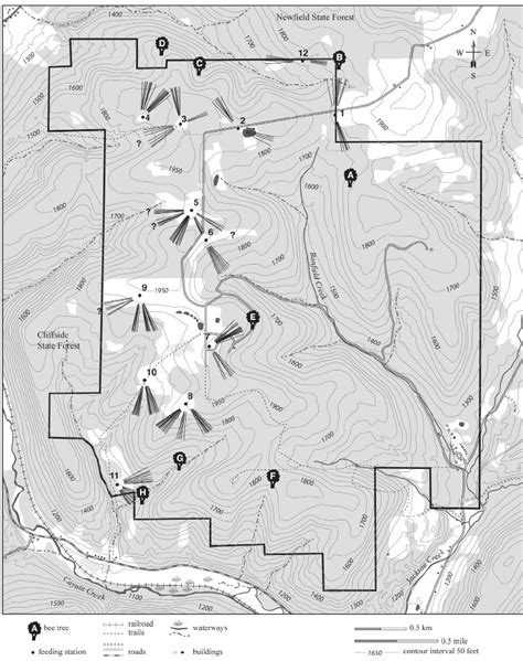 Map of the Arnot Forest. Shown are the locations of the bee trees (8 ...