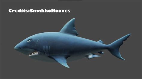 Hungry shark Evolution:Great White Shark PNG + OBJ by Francoraptor2018 on DeviantArt