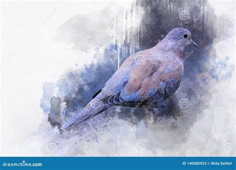 Portrait of a Pigeon Bird, Watercolor Painting. Bird Illustration Stock ...