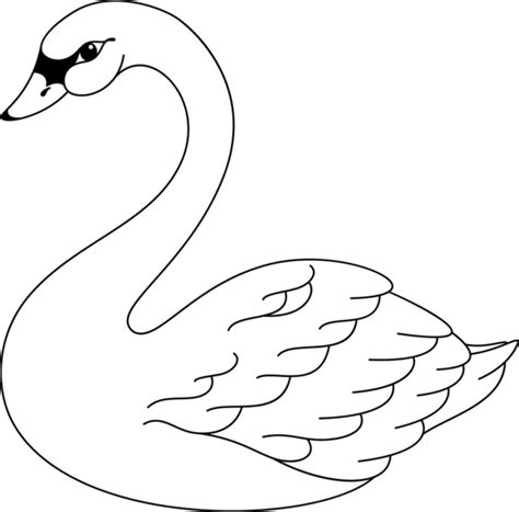 Swan Printable Coloring Pages