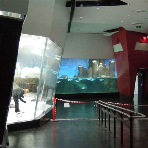 Melbourne Aquarium Expansion - Penguin Playground Exhibit, Australia - Advanced Aquarium ...