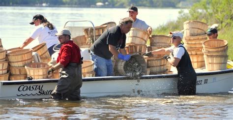 NC Coastal Federation Developing Environmental Restoration as a Viable Economic Strategy for ...