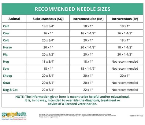 Needle and Syringe Combos