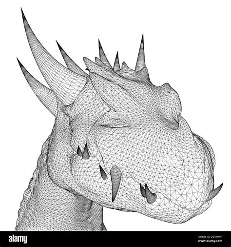 Dragon head wireframe from black lines isolated on white background. Front view. 3D. Vector ...