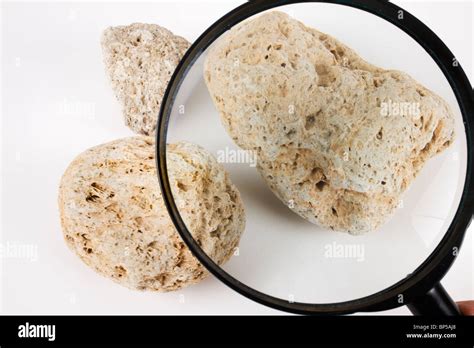 Pumice rock under a magnifying glass Stock Photo - Alamy