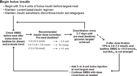 Basal Bolus Injection