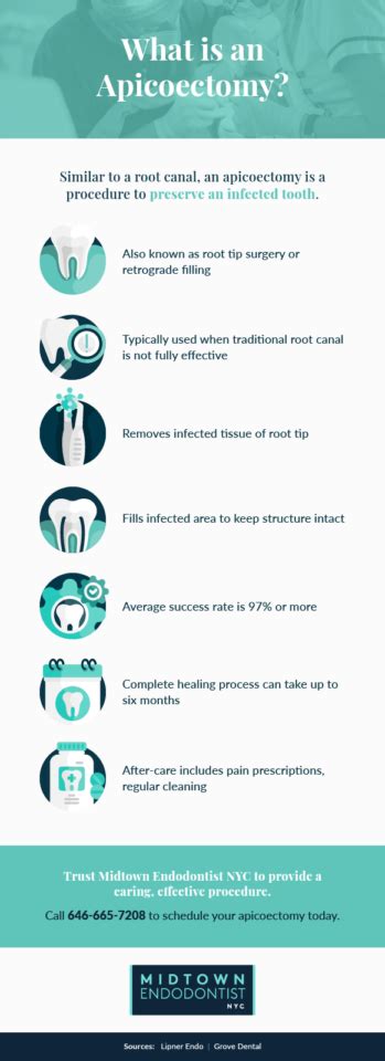 Apicoectomy Procedure NYC | Cost & Procedure Information