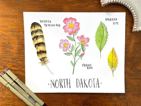 North Dakota State Flower State Tree State Bird Art Print - Etsy