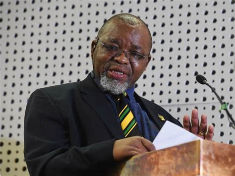 SA mining is open for business, says Minister Mantashe - ESI-Africa.com