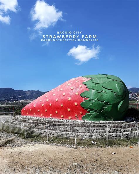 #StrawberryFarm #Strawberry #WhenInBaguio #BaguioCity #Philippines ...