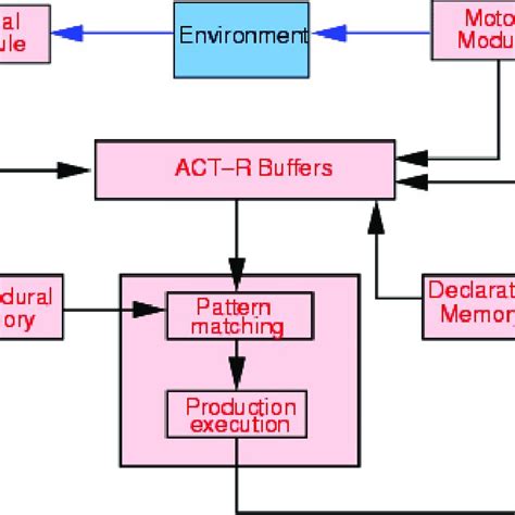 Schematic representation of the ACT-R cognitive architecture.... | Download Scientific Diagram