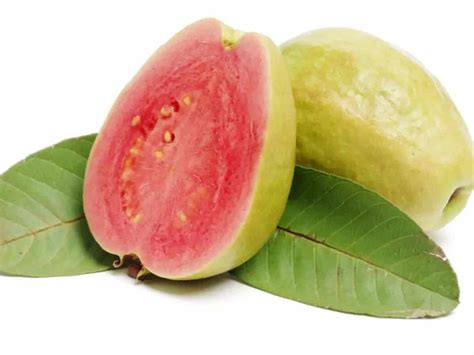 अमरूद के फायदे, उपयोग और नुकसान – All About Guava (Amrud) in Hindi ...