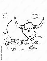Cute Yak Coloring Book Page Vector Illustration Art Stock  sketch template