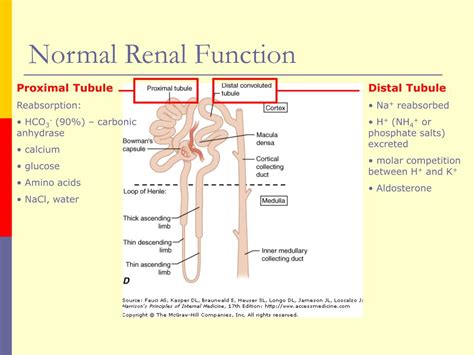 Renal Tubular Acidosis Chart