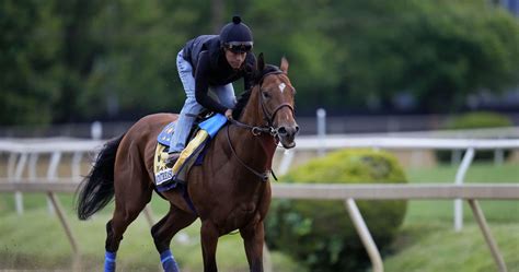 Preakness 2023: Projected Prize Money Earnings, Order of Finish and ...