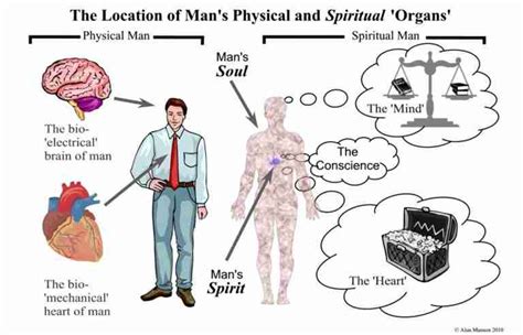 Examining our Spirit, Soul and Body — the Inner and Outer Man