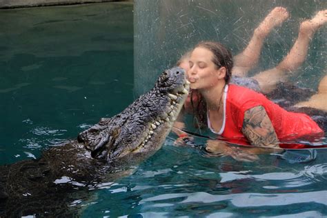 Cage Of Death Lets You Get Up Close With Crocodile In The Water