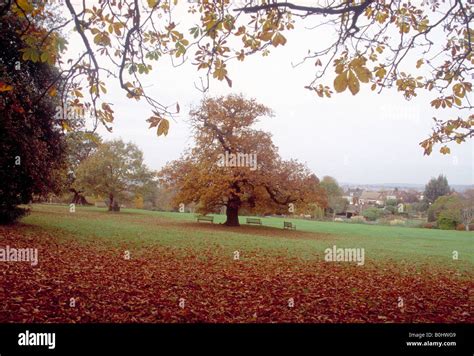 Golders Hill Park in Golders Green, London Stock Photo - Alamy