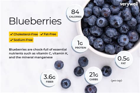 Blueberry Nutrition Facts and Health Benefits