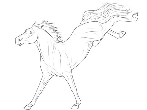 Bucking Horse Drawing at GetDrawings | Free download