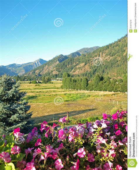 View from a Flowery Balcony Stock Photo - Image of idyllic, farm: 21411574