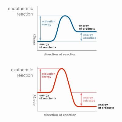 Origins of Cell Compartmentalization | AP Biology | Biology Dictionary