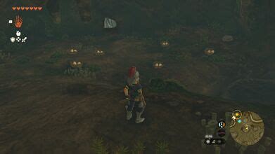 Follow the Cuccos - Zelda Dungeon Wiki, a The Legend of Zelda wiki