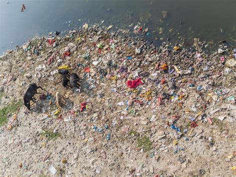 Yamuna highly polluted in many stretches beyond Delhi too