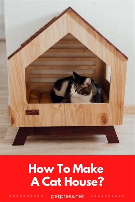 Purrfect DIY Ideas: How To Make A Cat House For Your Kitty