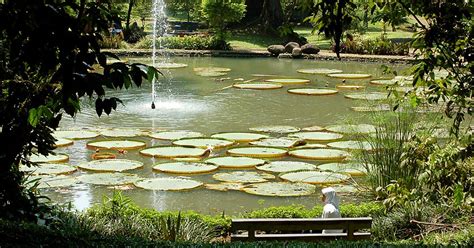 Bogor Botanical Gardens in Bogor, Indonesia | Sygic Travel