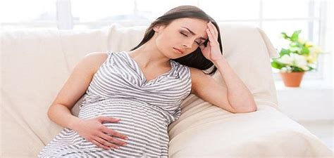 Stages of pregnancy and childbirth