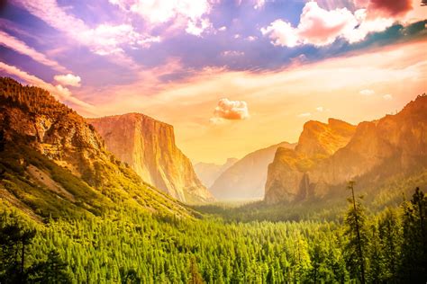 Yosemite National Park: A Travel Guide