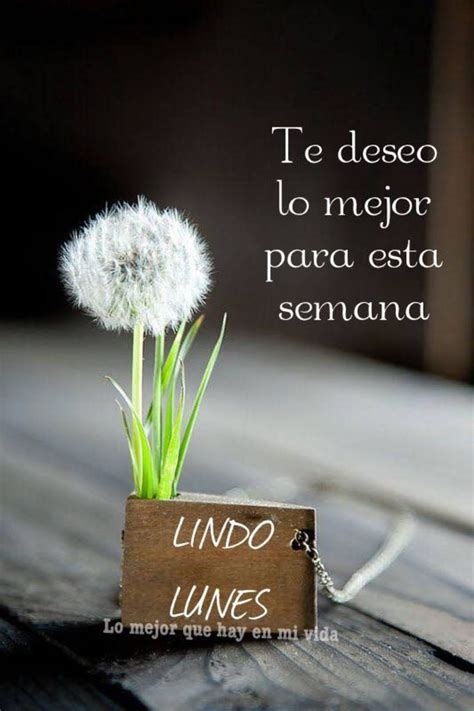 Feliz Lunes a todos mis amigos - BonitasImagenes.net | Buenos dias feliz lunes, Lunes imagenes ...