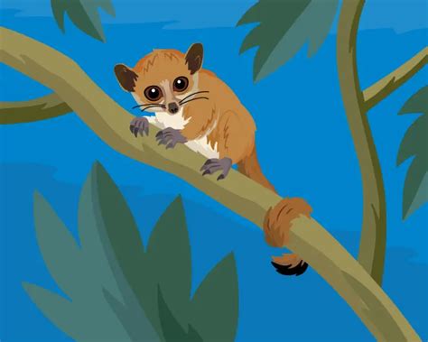 Madame Berthe's Mouse Lemur - Facts, Diet, Habitat & Pictures on Animalia.bio