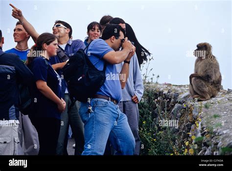 Young tourists feeding and teasing the Barbary Apes on the summit of the Rock of Gibraltar Stock ...