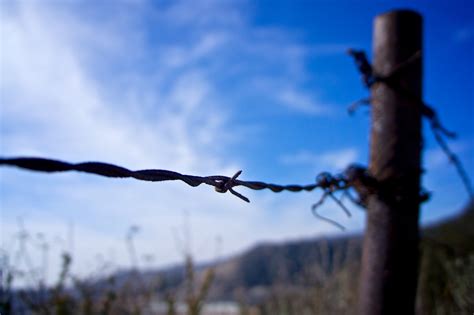 Barbed Wire Fence Closeup Free Stock Photo - Public Domain Pictures