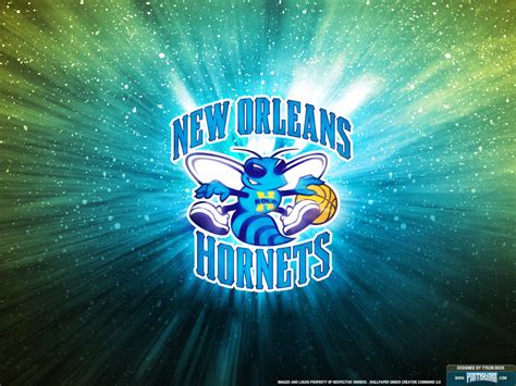 🔥 [50+] New Orleans Hornets Wallpapers | WallpaperSafari