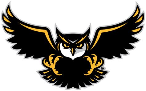 Kennesaw State Owls Alternate Logo - NCAA Division I (i-m) (NCAA i-m ...