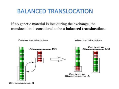 PPT - CHROMOSOMAL ABNORMALITIES PowerPoint Presentation - ID:5719987