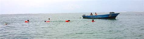 Gandoca Manzanillo Wildlife Refuge Snorkeling Puerto Viejo Costa Rica