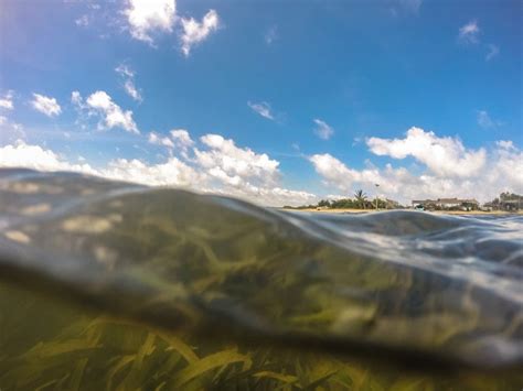 Puttalam Lagoon - Paradise Lost? - Project Seagrass