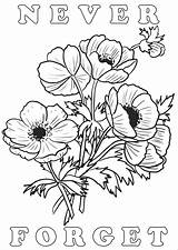 Poppies Templates Forget Colours Autumn Crafts Schools Sketch Coloring Page sketch template