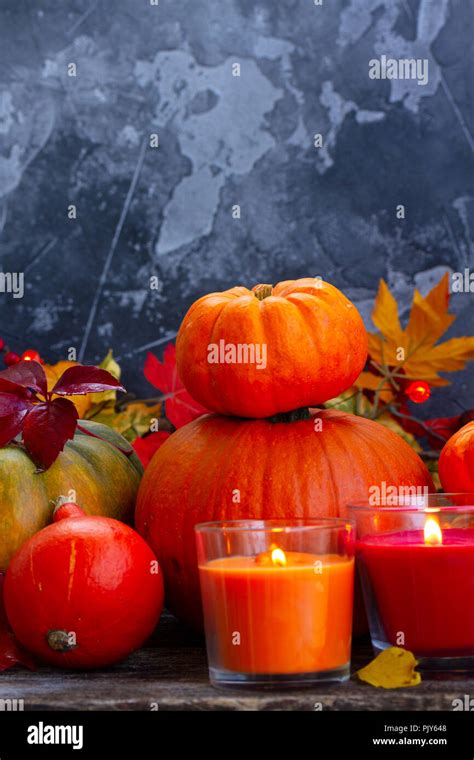 Fall harvest of pumpkins Stock Photo - Alamy